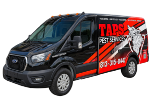 vehicle wraps vinyl banners